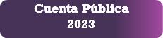 Cuenta Pública 2023